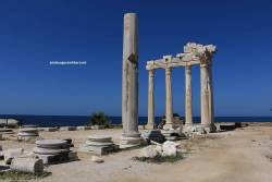apollon - athena tapınağı
