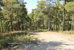 tazı kanyonu ulaşım
