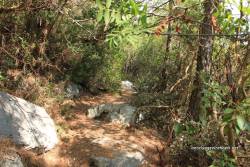 kral havuzu yolu