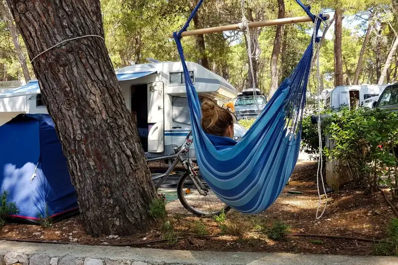 Çam ağaçları altında yan yana duran karavan, çadır ve hamak